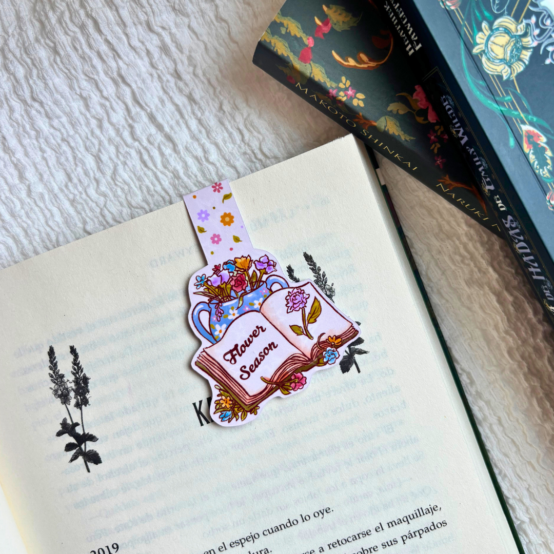 Separadores Books & Spring